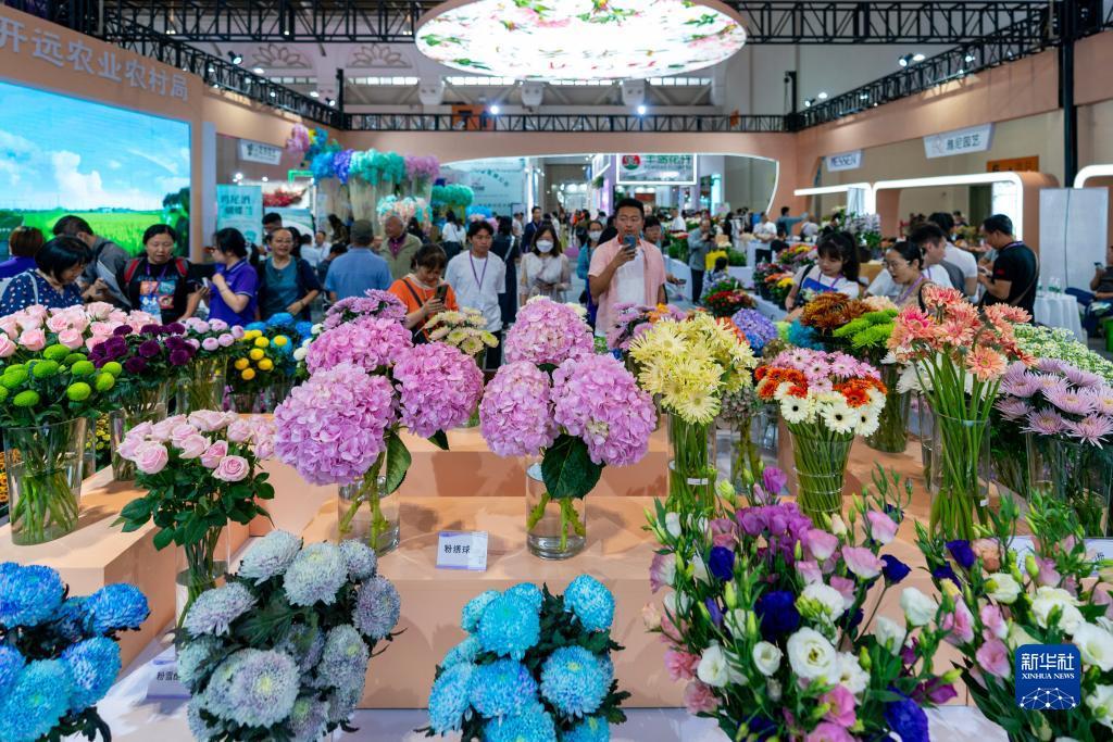华人菠菜论坛